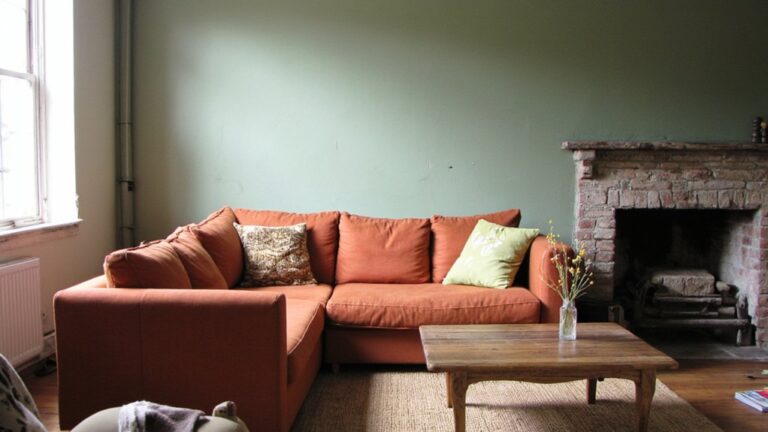 sofa and wall harmony